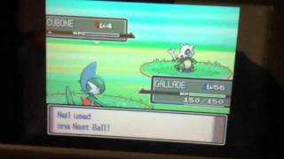Pokemon - Shiny Cubone with Shiny Patch (CHAIN 40, 41, 42, 43, & 44)
