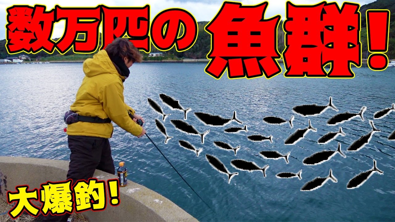 堤防から釣りをしていたら数万匹の魚群が現れた！？