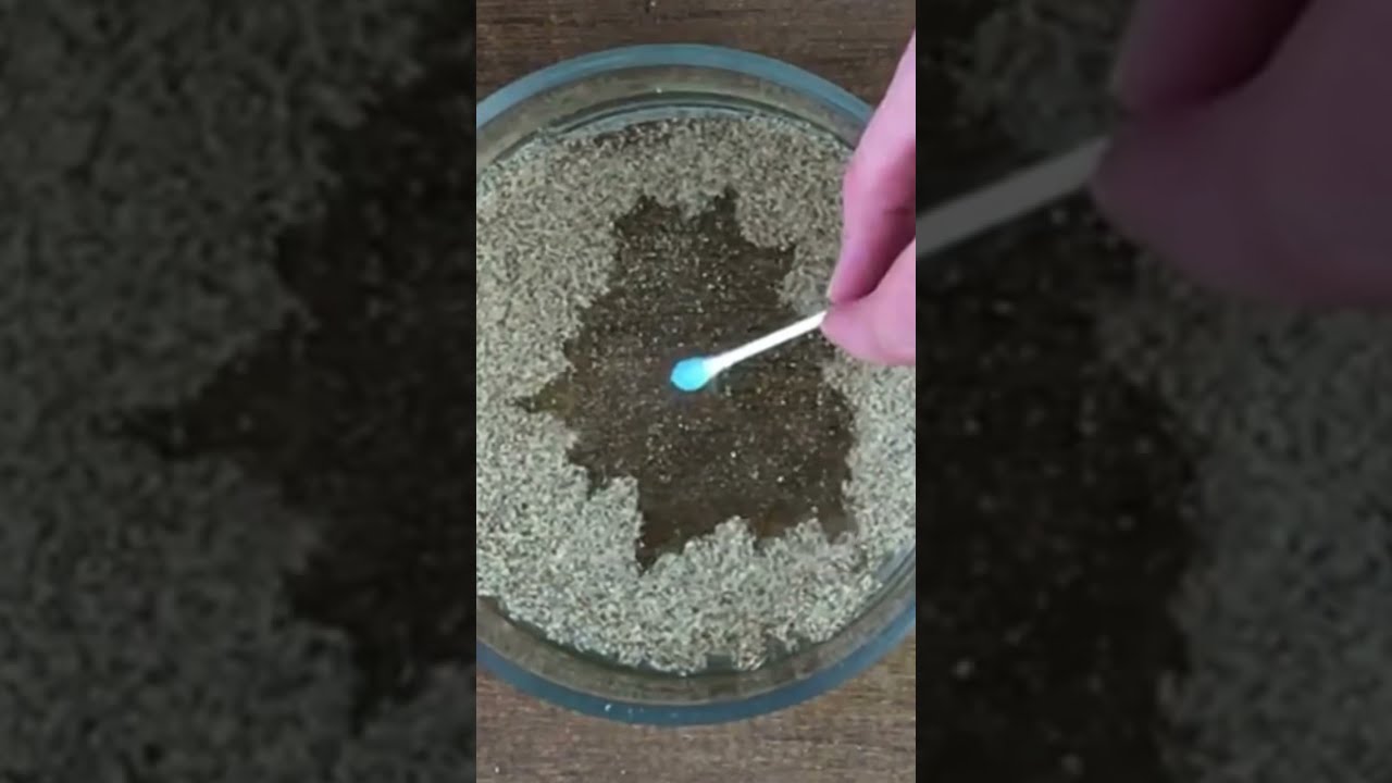 Dancing Pepper Experiment Why Does Run From Soap Hydrophobic Experiments For Kids