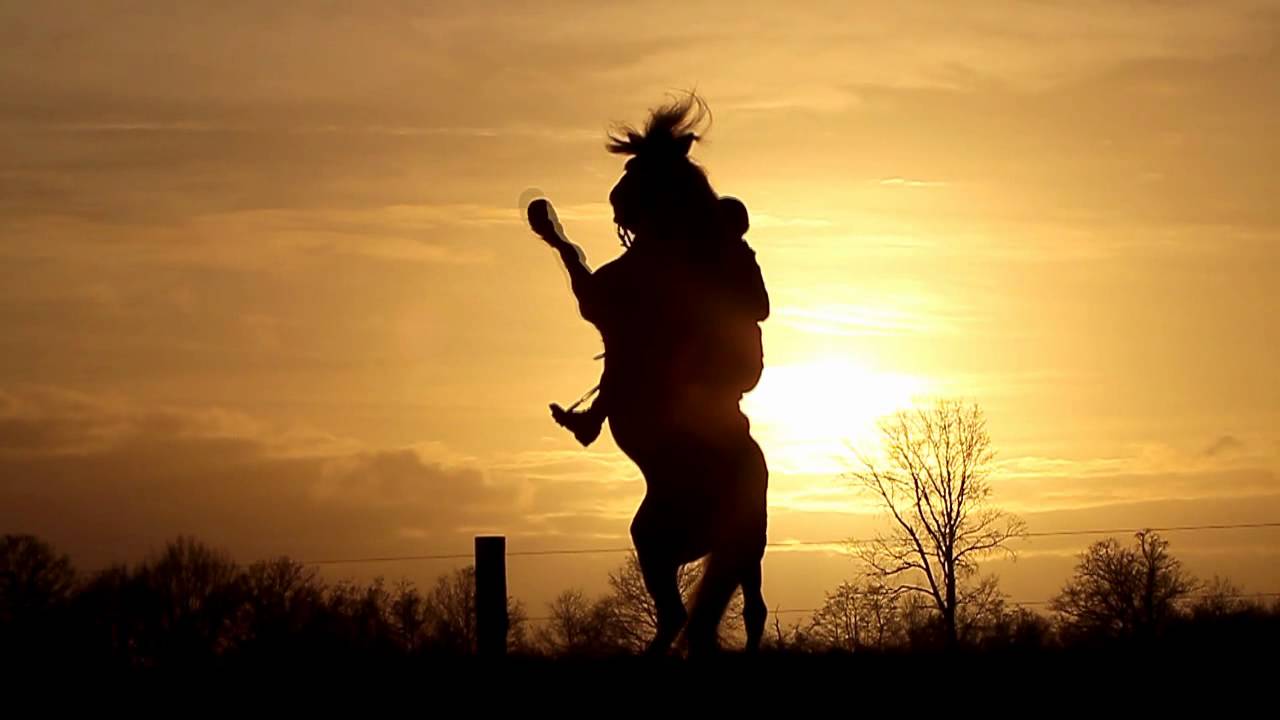 *[EPIC!] A golden team - Nibbit and Lisa..