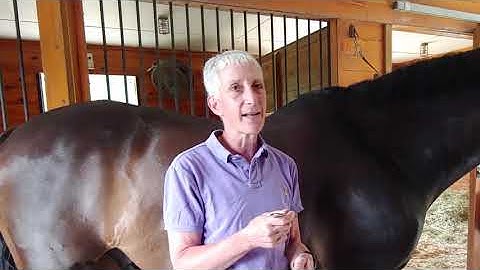 Graston Technique® Equine Instrument Demo with GT3