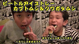 【手作り】ビートルアイストレーでチョコを作ってみた！