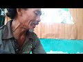 Video Amatir Alat Musik Tradisional Sasak enak di Dengar Video Amatir Alat Musik Tradisional Sasak enak di Dengar
