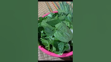 Lẩu bao tử cá thác lác #anuong #food