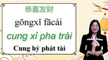 666 câu giao tiếp tiếng Trung cấp tốc | Bài 11 | Ngày Tết