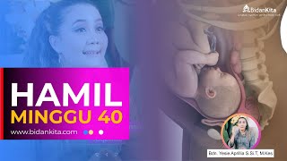 Minggu 40- Kehamilan dari minggu ke Minggu