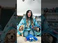 I Like Stitch Youtubeshorts I Like Stitch Youtubeshorts