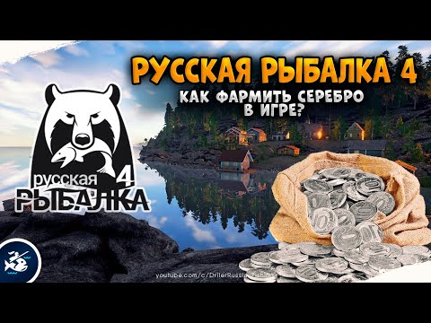 Видео: Русская Рыбалка 4 — Как фармить серебро? Гайд для новичков