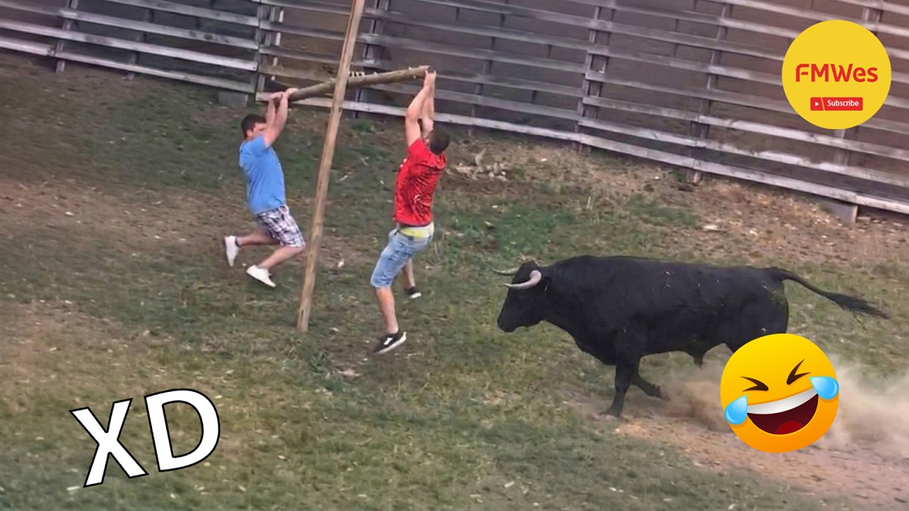 SI TE RÍES PIERDES NIVEL DIOS #650😂 Los Videos Graciosos Y Memes Más Virales Del 2026 😁