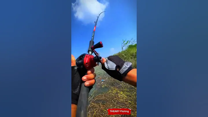 I Found a MONSTER Living in a Creepy Tunnel!#shorts #fishing #bassfishing #viralvideo