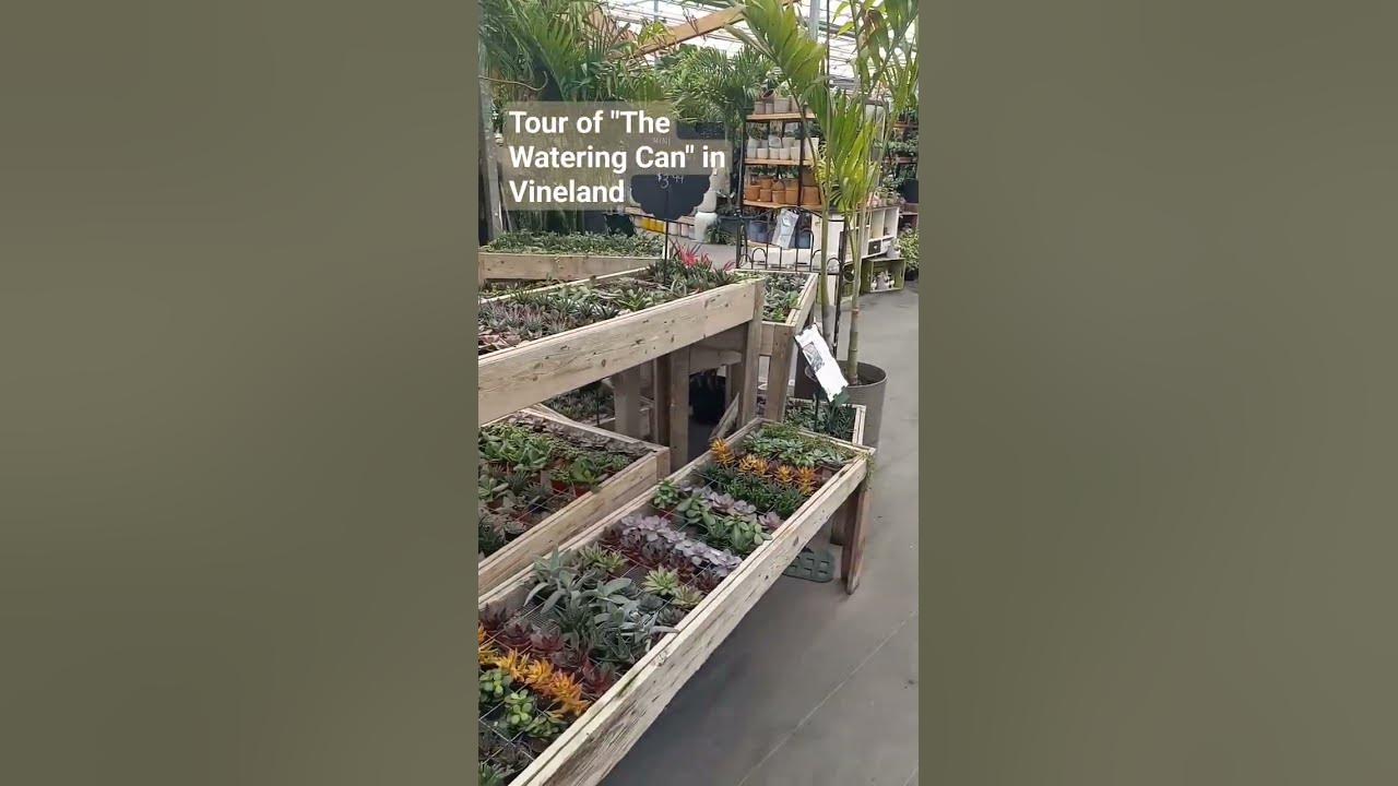 Tour of THE WATERING CAN in Vineland Ontario gardening YouTube