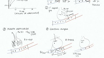 Inhalational Agents 6 - Cardiac Output Effect on Inhalational Onset