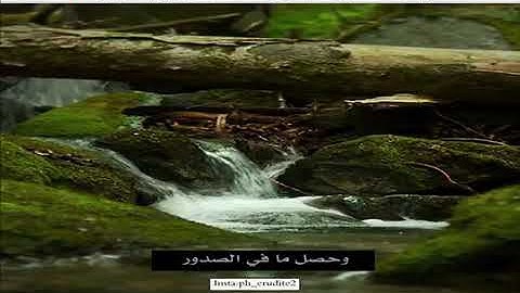 افلا يعلم اذا بعثر ما في القبور /تلاوه جميله