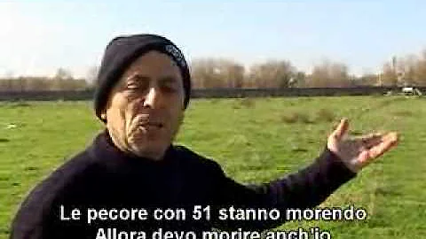 Quanti abitanti ha Acerra 2020?