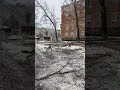 ледяной дождь. ростовская область.