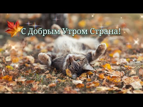 С Добрым Утром для тебя☕❤