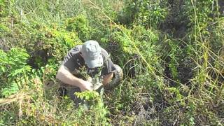 1.1.2013 First Python Capture of 2013