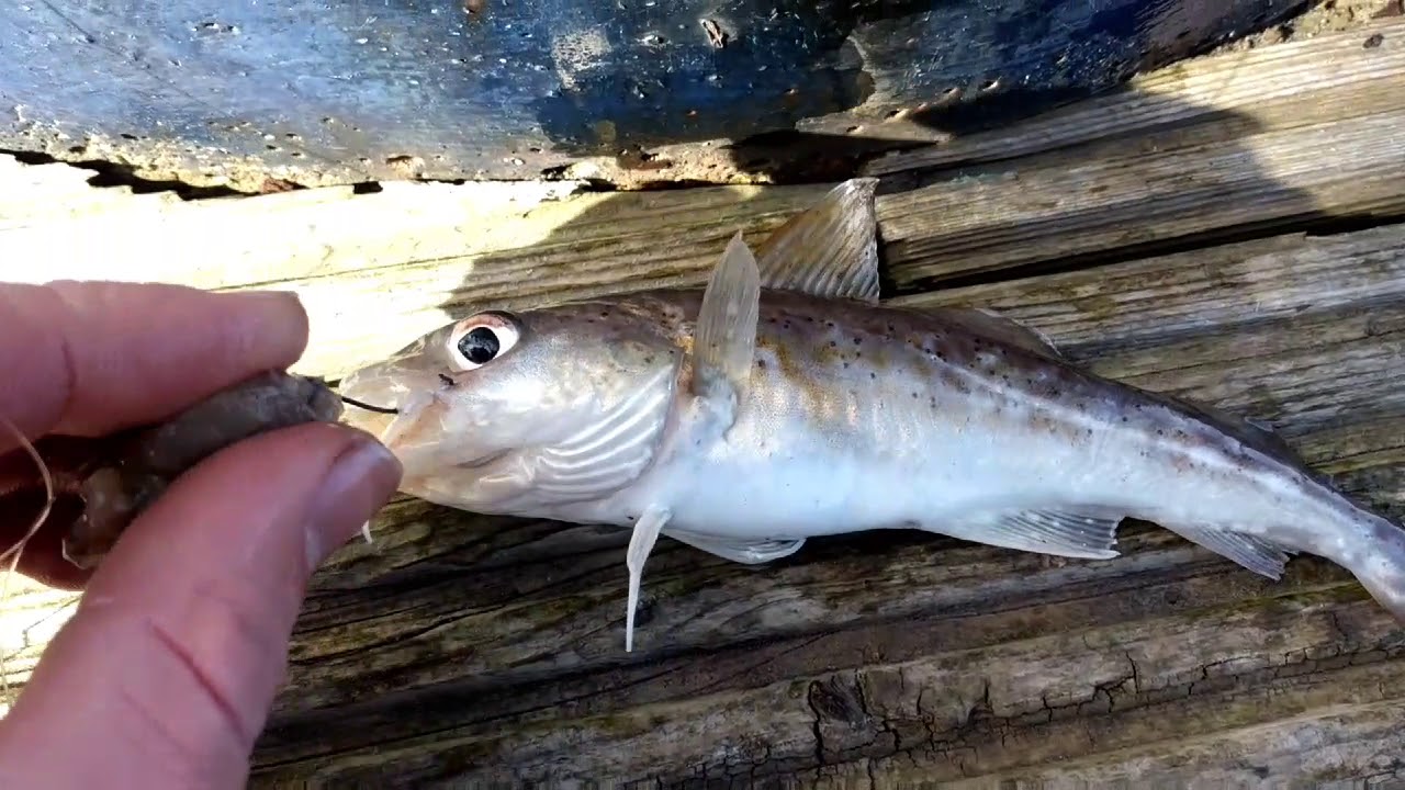 Fishing and first aid. YouTube