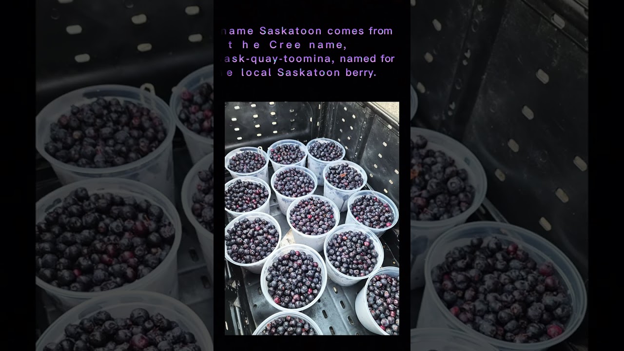 3 Fun Facts About Saskatoon 