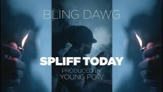 Spliff Today - Bling Dawg