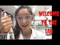 A day as a marine biologist pstudent 6  the lab