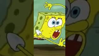 Spongebob Squarepants - Spongebob Gets A Splinter