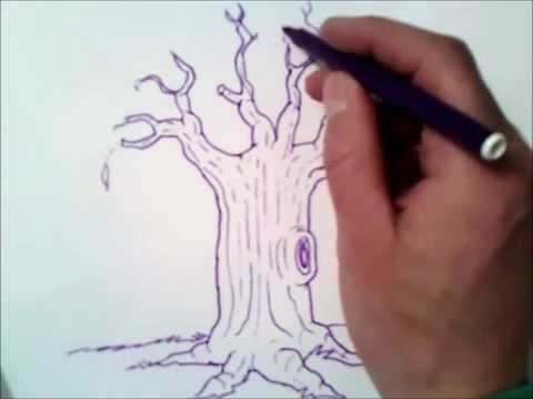 Video: Come Disegnare Un Pino