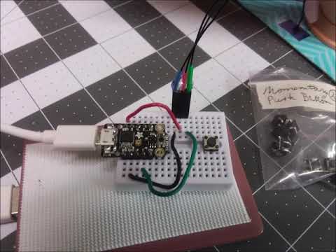 MakeCode and Pendant Wearable LED light show