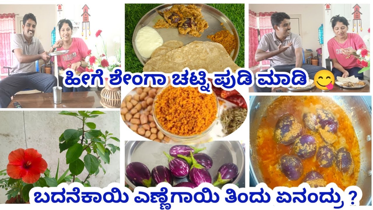 ಬದನೆಕಾಯಿ ಎಣ್ಣೆಗಾಯಿ ರೆಸಿಪಿ ಇಷ್ಟ ಅಂತ ನನ್ನೆ ಬಿಟ್ಟು ತಿಂದಿದ್ದಾರೆ ನೋಡಿ🤣|ಶೇಂಗಾ ಚಟ್ನಿ ಪುಡಿ ರೆಸಿಪಿ