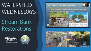 Stream Bank Restoration in Communities & Backyards