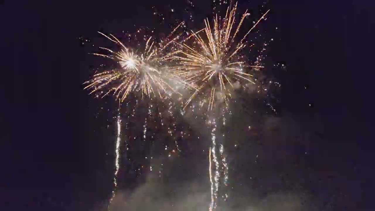 El Gato Fiesta de Colores