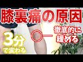 【自分で治す】しつこい膝裏の痛みの原因はココ!たった3分間で解消するセルフマッサージ【渋谷 膝の痛み】東京都渋谷区恵比寿の整体院蒼
