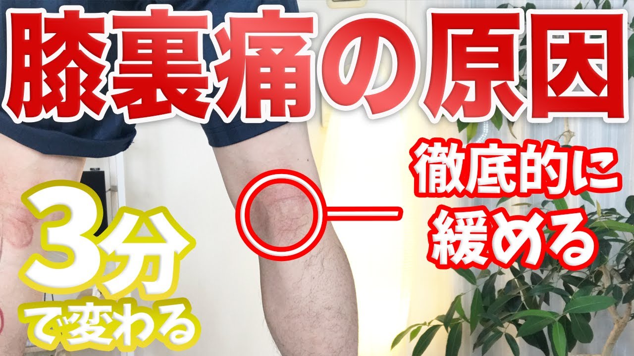 【自分で治す】しつこい膝裏の痛みの原因はココ！たった3分間で解消するセルフマッサージ【渋谷　膝の痛み】東京都渋谷区恵比寿の整体院蒼