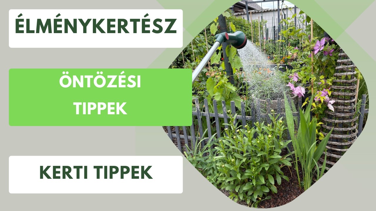 Az öntözéssel mindent el lehet rontani a veteményesben!🍅🫑