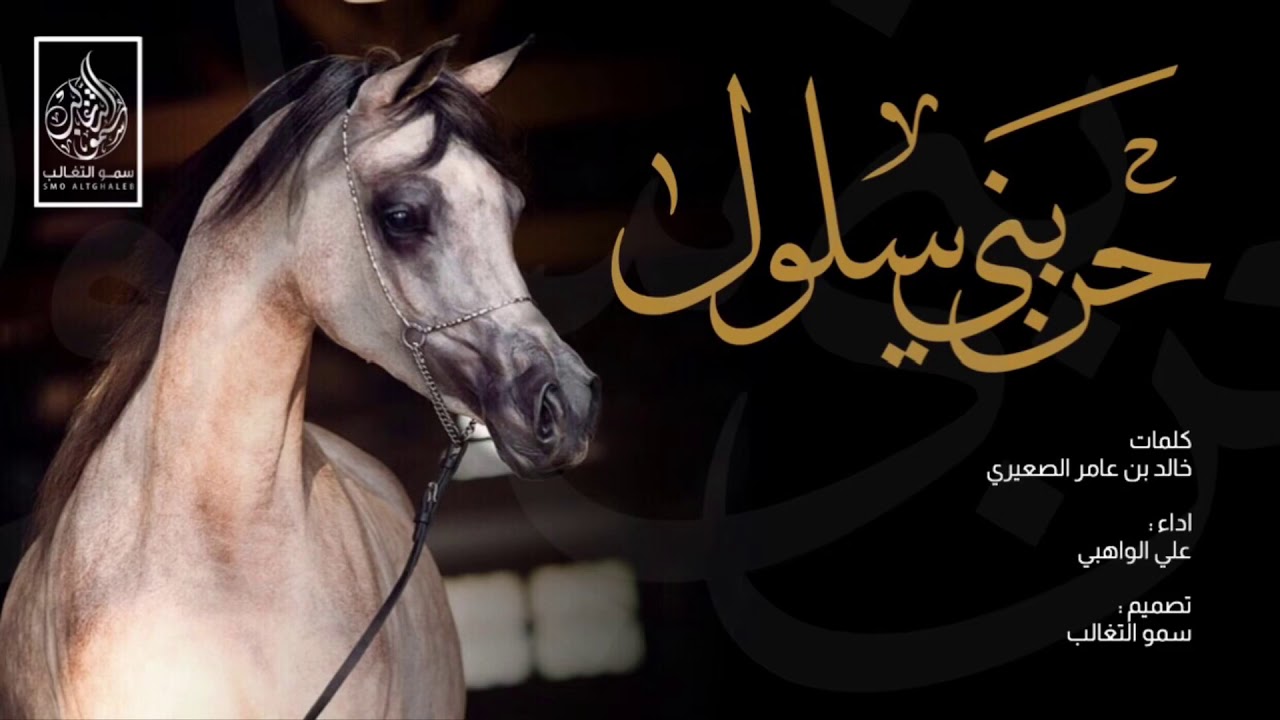 حن بني سلول  كلمات : خالد بن عامر الصعيري | اداء : علي الواهبي 2019