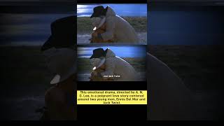 Movie Brokeback Mountain Review Explained In English