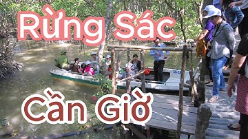 Trải nghiệm rừng Sác Cần giờ #dulich #travel
