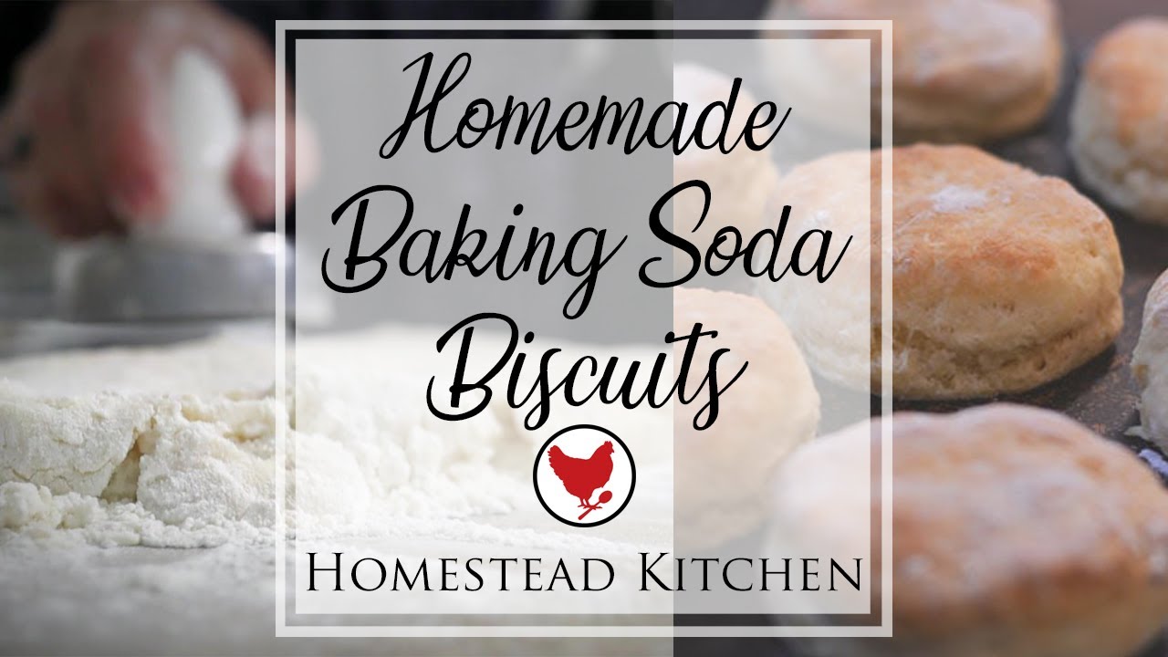 HOMEMADE BAKING SODA BISCUITS | Homestead Kitchen - YouTube