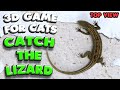 3d game for cats  catch the lizard top view  4k 60 fps stereo sound