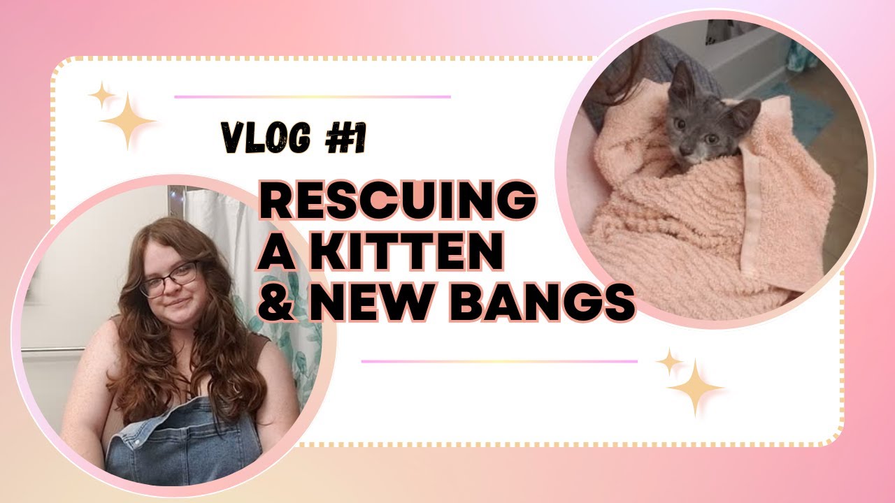i saved a kitten & i got new hair - Vlog No.1