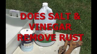 DOES VINEGAR AND SALT REMOVE RUST