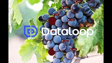 Auto annotation of objects using Dataloop AI