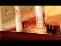 Capture de la vidéo Wohnzimmer-Konzerte Der Wiener Symphoniker #4
