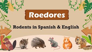 Roedores - Rodents in Spanish & English