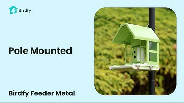 Pole Mounted - Birdfy Feeder Metal Tutorial