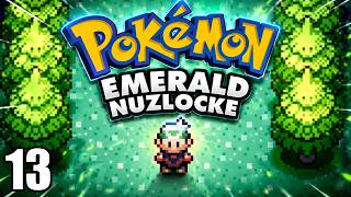 Pokémon Emerald Nuzlocke - First Time Ever... PART 13
