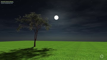 Camera Interpolation