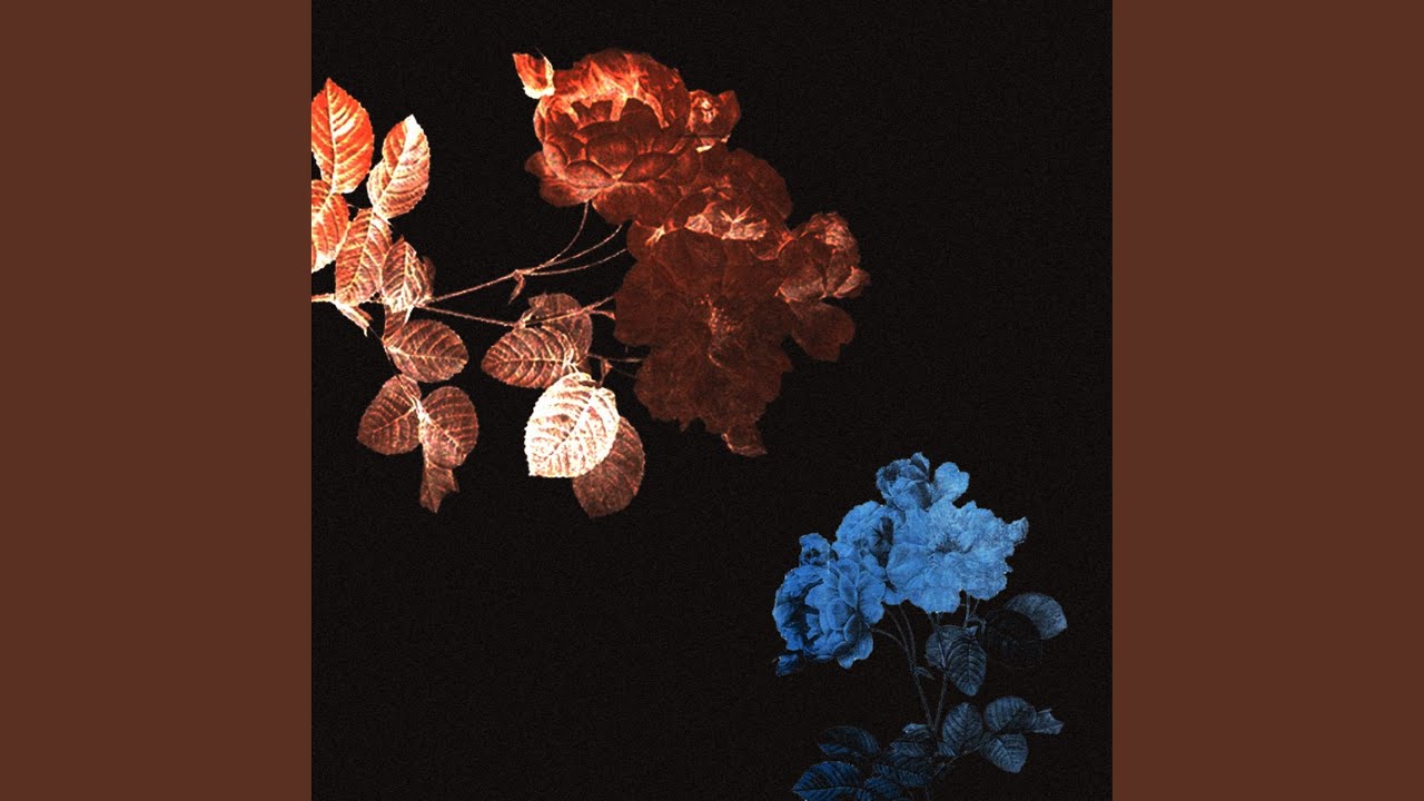 Watch Flowers on YouTube Watch Flowers on YouTube