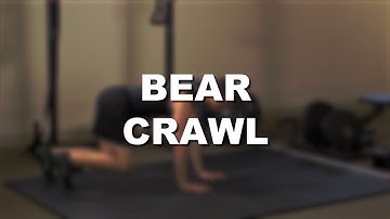 Bear Crawl - Exercise Demonstration