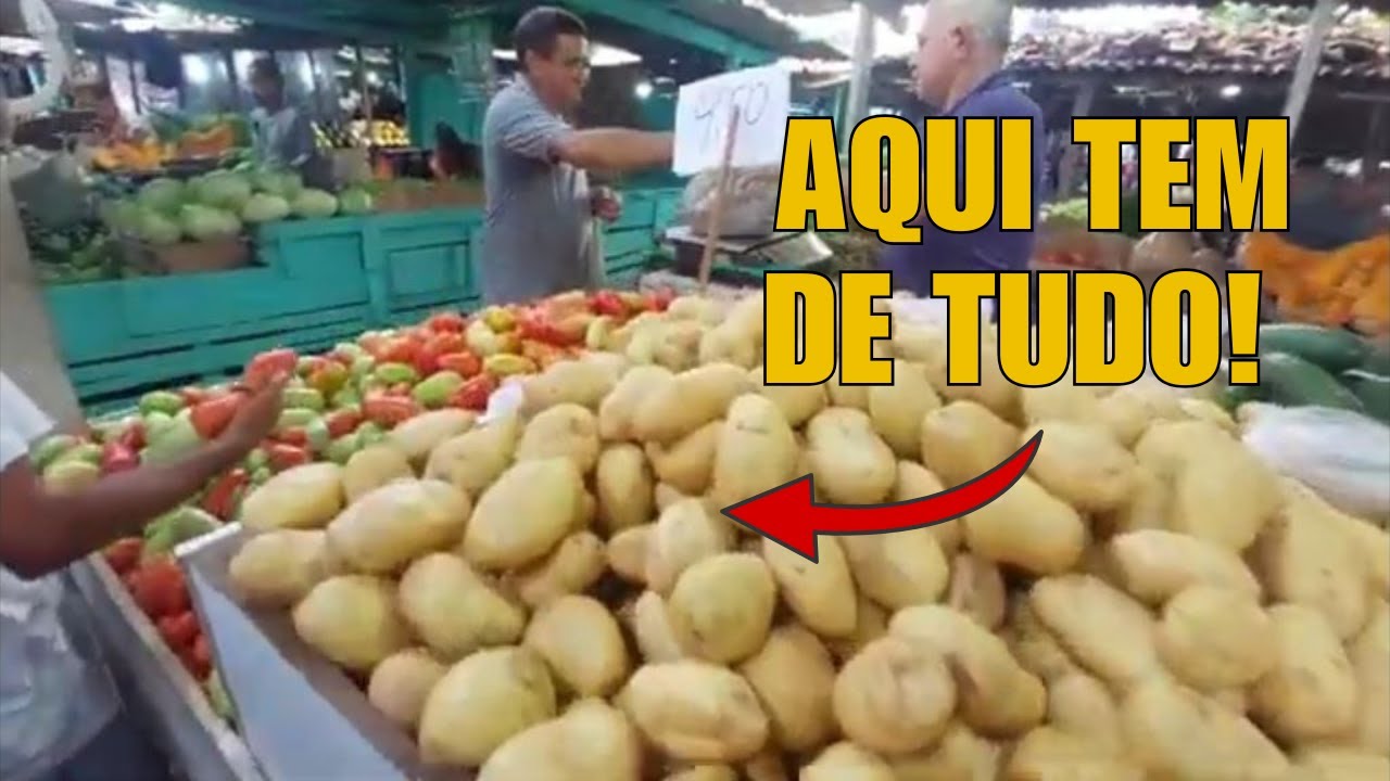 Visitei a feira livre de Oitizeiro - a mais tradicional de João Pessoa PB- #Vemprafeira